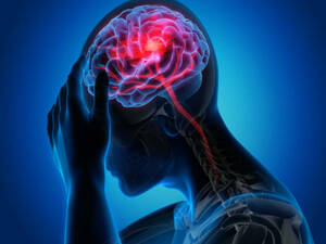 Neurology/Neurosurgery KNOW MORE