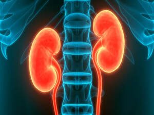 Nephrology KNOW MORE