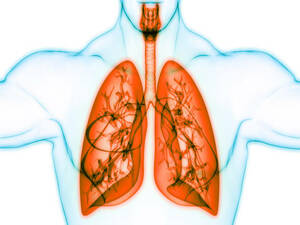 Pulmonology KNOW MORE